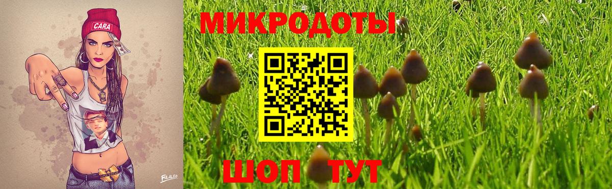 Клинцы  что такое   Вход с VPN  Псилоцибиновые грибы мухоморы 