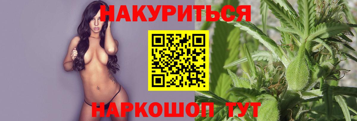 Бошки Шишки планчик Клинцы